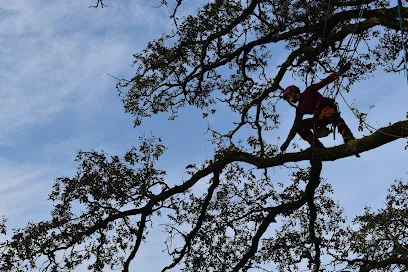 Image de l'entreprise Montée de sève