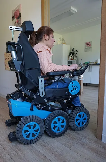 Image de l'entreprise New Live