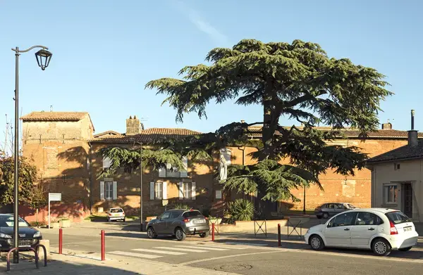 Monte Escalier Habitat Monte escalier Aussonne