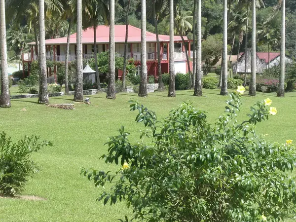 Monte Escalier Habitat Monte escalier Gros-Morne
