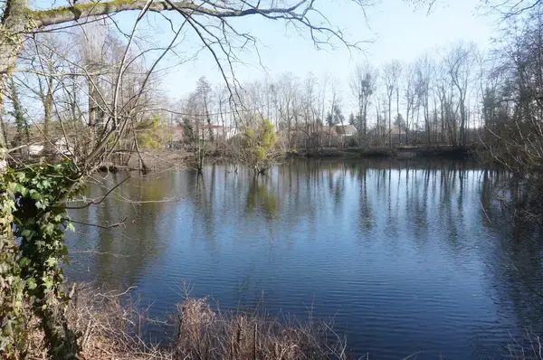 Monte Escalier Habitat Monte escalier La Chapelle-Saint-Luc