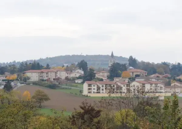 Monte Escalier Habitat Monte escalier Lentilly
