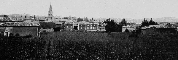 Monte Escalier Habitat Monte escalier Limas