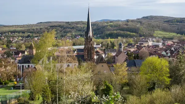 Monte Escalier Habitat Monte escalier Mutzig