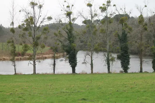 Monte Escalier Habitat Monte escalier Muzillac