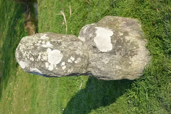 Monte Escalier Habitat Monte escalier Prinquiau