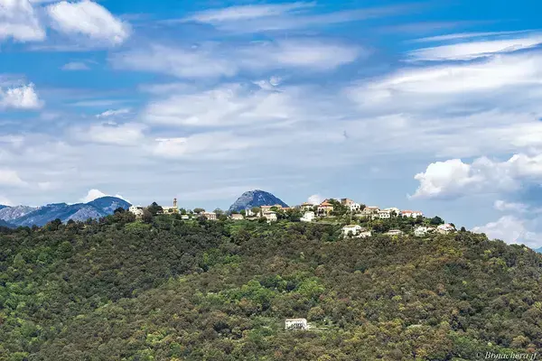 Monte Escalier Habitat Monte escalier Prunelli-di-Fiumorbo